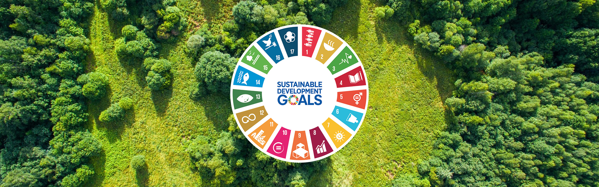the Sustainable Development goals logo (SDG) with a forest as background.