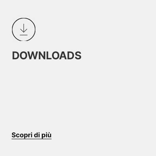 Toyotomi downloads button